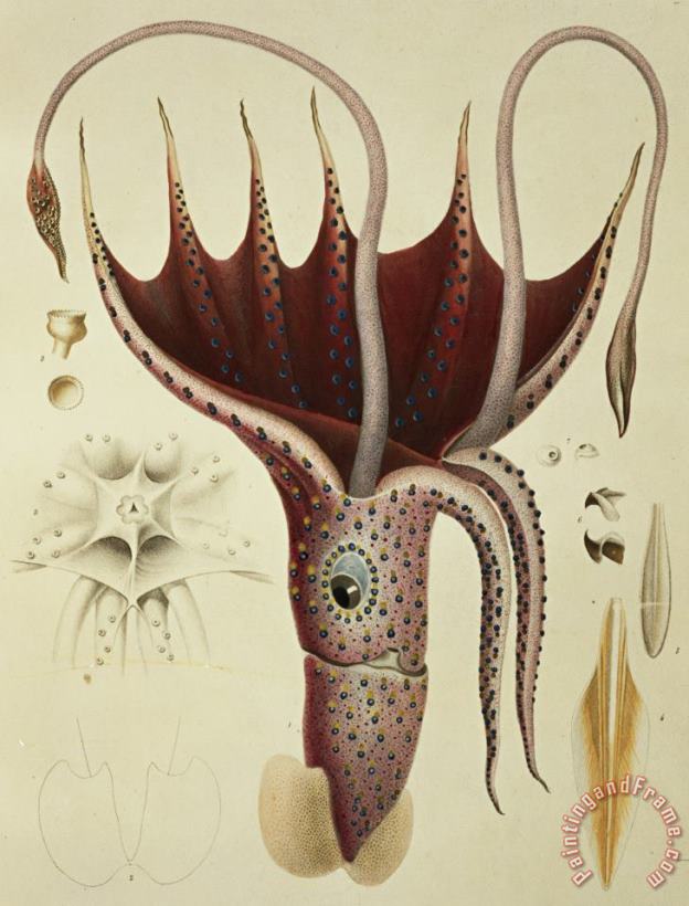 A Chazal Squid Art Painting