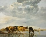 Aelbert Cuyp - Cows in a River painting