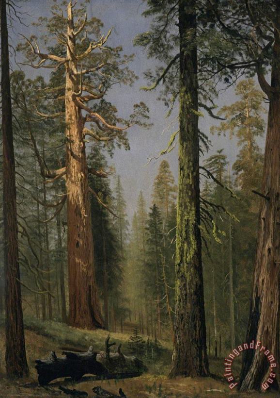 The Grizzly Giant Sequoia, Mariposa Grove, California, 1872 painting - Albert Bierstadt The Grizzly Giant Sequoia, Mariposa Grove, California, 1872 Art Print