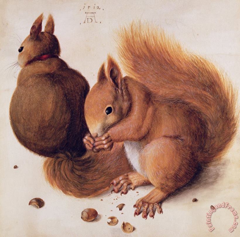 Squirrels painting - Albrecht Duerer Squirrels Art Print