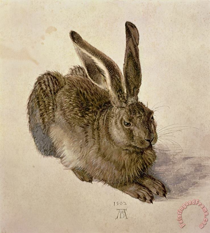 Albrecht Durer Hare Art Painting