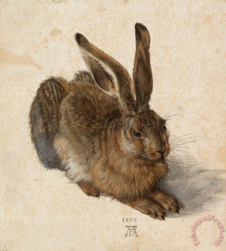 Albrecht Durer Hare, 1502 Art Painting