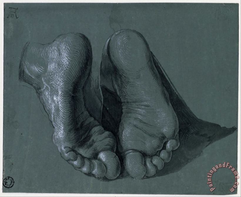Study of Two Feet painting - Albrecht Durer Study of Two Feet Art Print