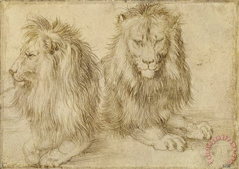 Albrecht Durer Two Seated Lions Art Painting