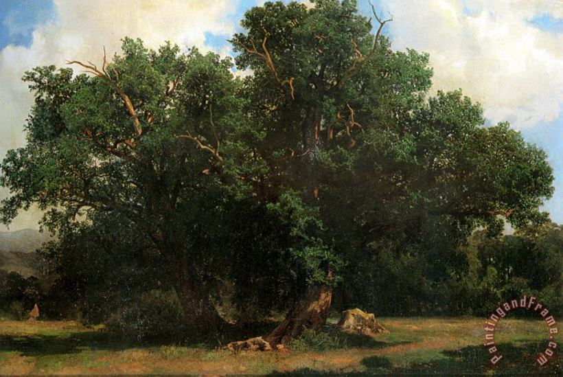 Alexandre Calame Oak Trees Art Painting