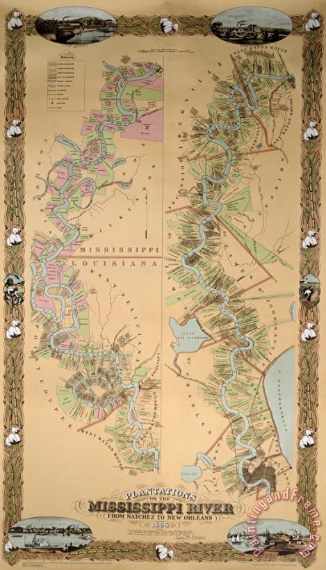Map depicting plantations on the Mississippi River from Natchez to New Orleans painting - American School Map depicting plantations on the Mississippi River from Natchez to New Orleans Art Print