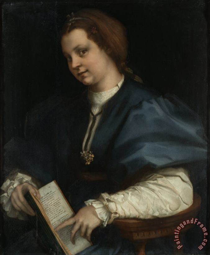 Andrea del Sarto Lady with a Book of Petrarch's Rhyme Art Painting