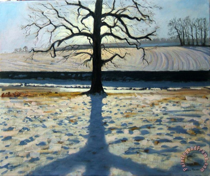 Tree and Shadow Calke Abbey Derbyshire painting - Andrew Macara Tree and Shadow Calke Abbey Derbyshire Art Print