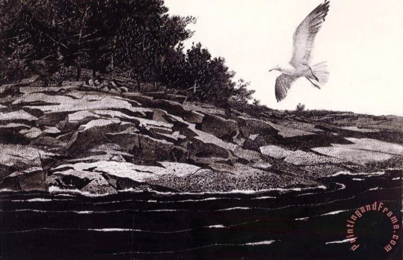 andrew wyeth Ledge on Huppers Island Art Painting