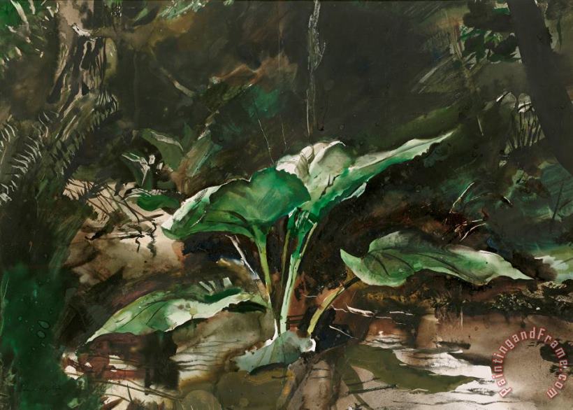Skunk Cabbage 1953 painting - andrew wyeth Skunk Cabbage 1953 Art Print