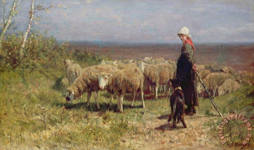 Shepherdess painting - Anton Mauve Shepherdess Art Print