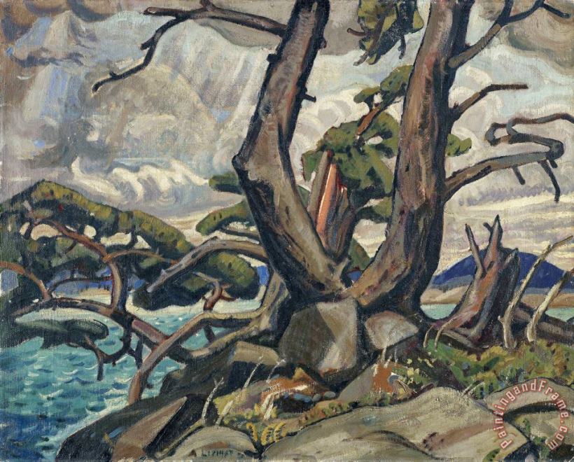 Old Pine, Mcgregor Bay painting - Arthur Lismer Old Pine, Mcgregor Bay Art Print