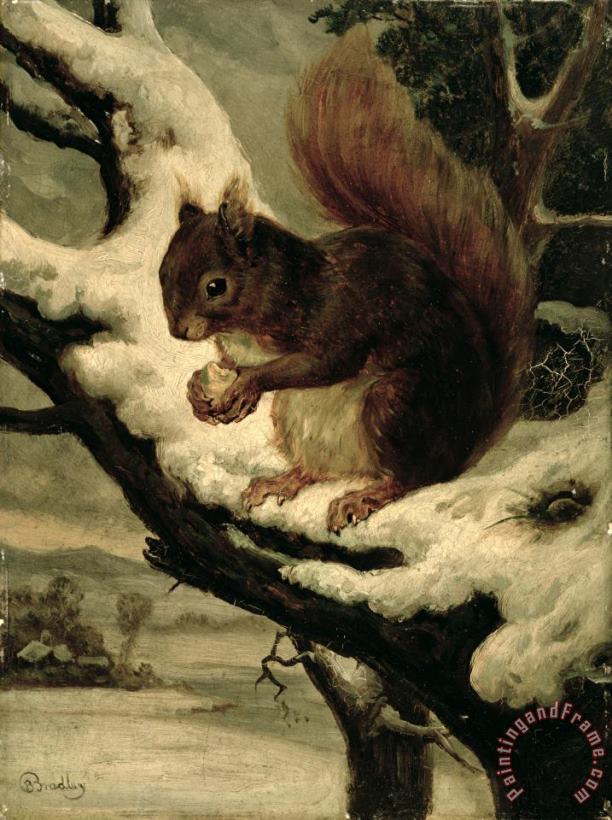 Basil Bradley A Red Squirrel Eating a Nut Art Painting