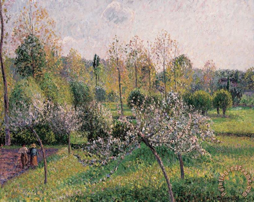 Apple Trees In Blossom painting - Camille Pissarro Apple Trees In Blossom Art Print