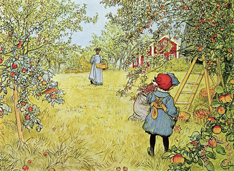 The Apple Harvest painting - Carl Larsson The Apple Harvest Art Print