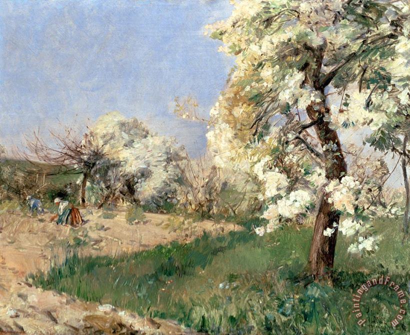 Childe Hassam Pear Blossoms Art Painting