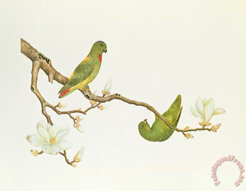 Chinese School Blue Crowned Parakeet Hannging On A Magnolia Branch Art Painting