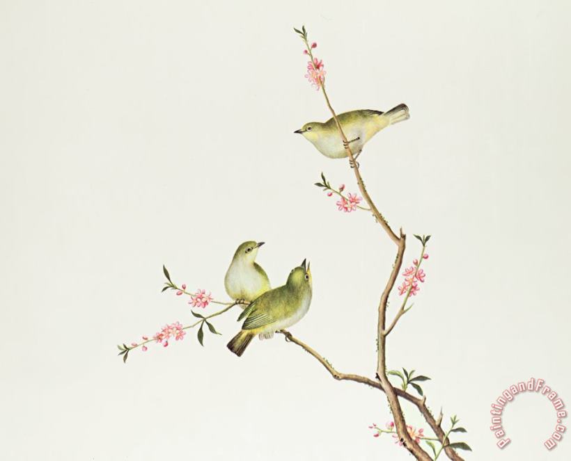 Chinese School White Eye Bird Art Painting