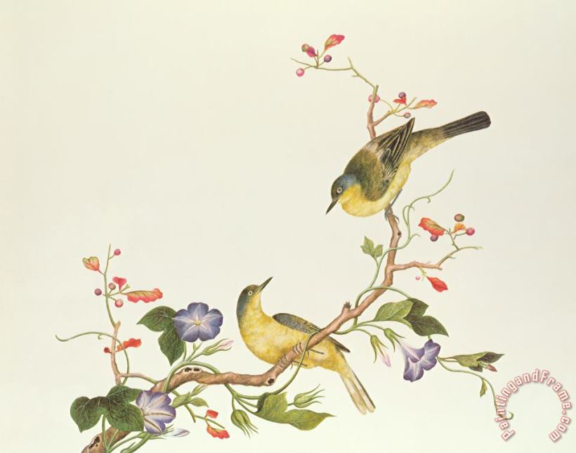 Chinese School Yellow Wagtail With Blue Head Art Painting