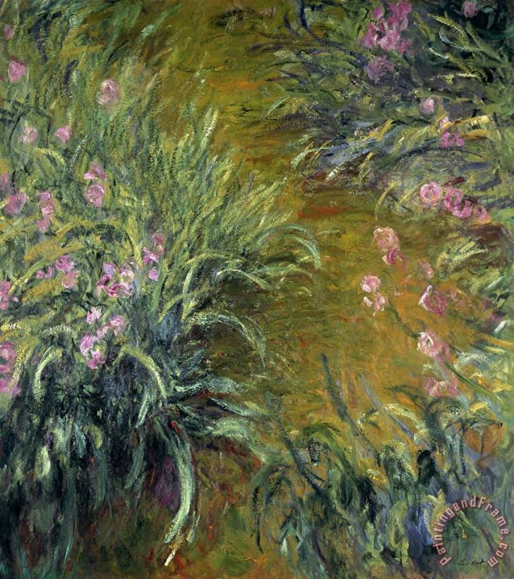 Iris painting - Claude Monet Iris Art Print