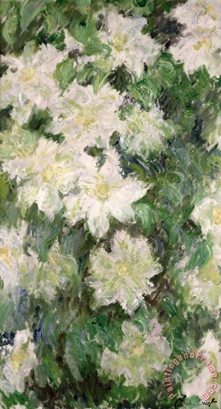 Claude Monet White Clematis Art Painting