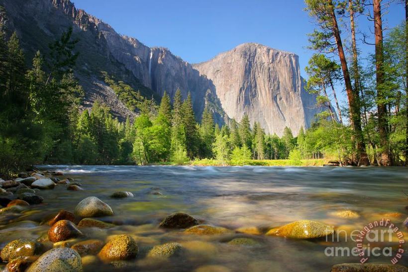 Merced River in Yosemite Valley painting - Collection Merced River in Yosemite Valley Art Print