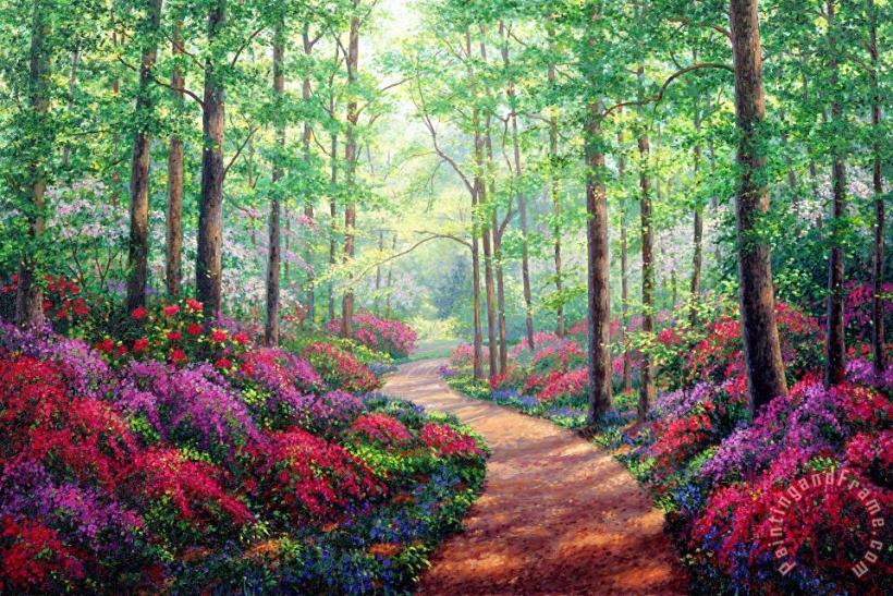 Collection Woodland Walk Art Painting