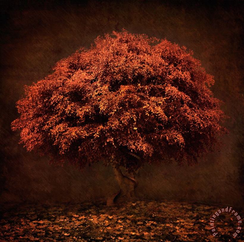 The Tree that knew me painting - Collection 5 The Tree that knew me Art Print