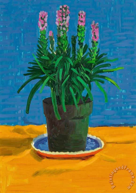 Plant on Yellow Cloth, 1995 painting - David Hockney Plant on Yellow Cloth, 1995 Art Print