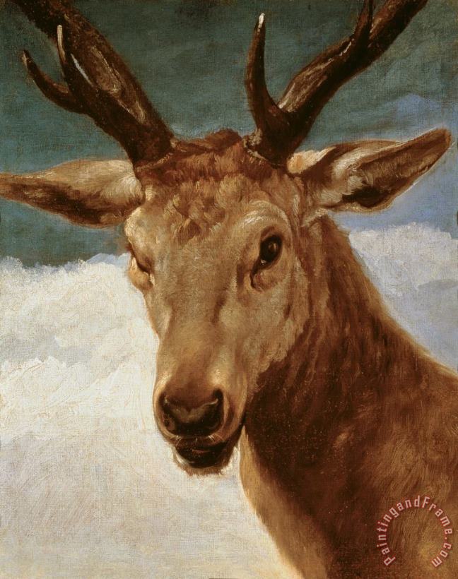 Head of a Stag painting - Diego Rodriguez de Silva y Velazquez Head of a Stag Art Print