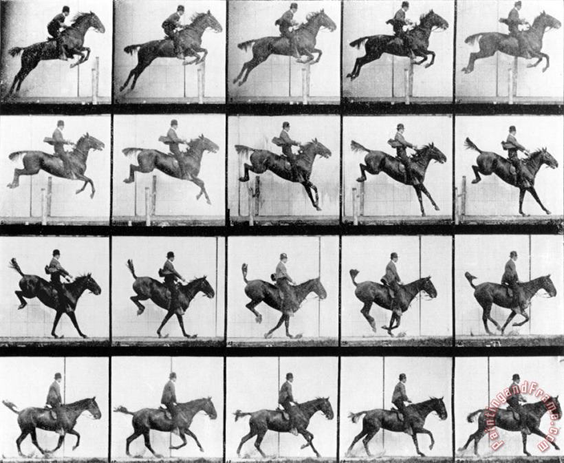 Eadweard Muybridge Man And Horse Jumping Art Print