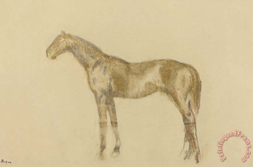 Horse painting - Edgar Degas Horse Art Print