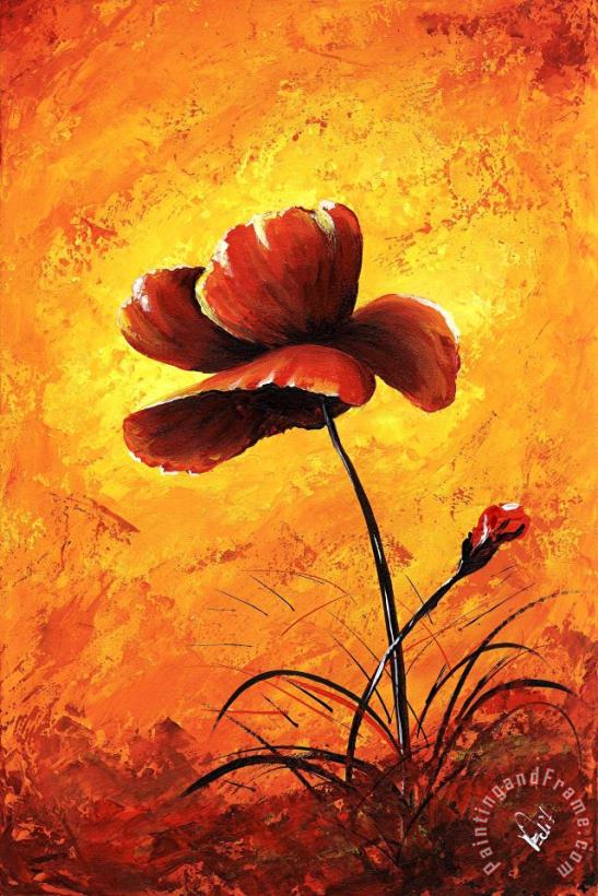 Edit Voros My flowers - Red poppy painting - My flowers - Red poppy