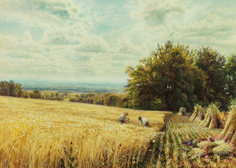 The Harvesters painting - Edmund George Warren The Harvesters Art Print
