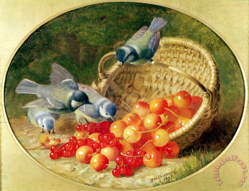 Bluetits Pecking at Cherries 1897 painting - Eloise Harriet Stannard Bluetits Pecking at Cherries 1897 Art Print