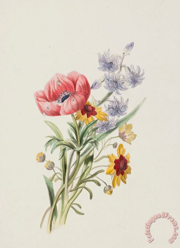 English School Study of wild flowers Art Print
