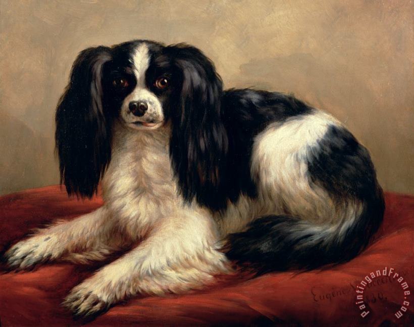 Eugene Joseph Verboeckhoven A King Charles Spaniel Seated on a Red Cushion Art Print