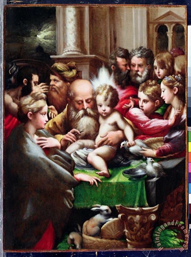 The Circumcision painting - Francesco Mazzola Parmigianino The Circumcision Art Print