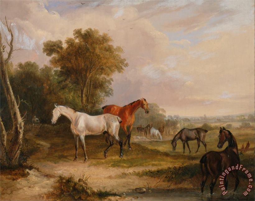 Horses Grazing a Grey Stallion Grazing with Mares in a Meadow painting - Francis Calcraft Turner Horses Grazing a Grey Stallion Grazing with Mares in a Meadow Art Print