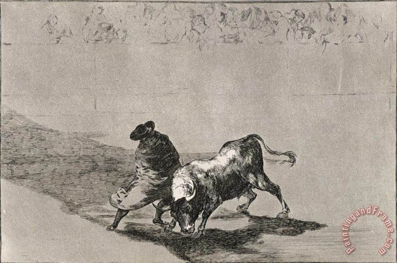 The Clever 'student of Falces' Infuriates The Bull by Moving About Wrapped in His Cloak painting - Francisco De Goya The Clever 'student of Falces' Infuriates The Bull by Moving About Wrapped in His Cloak Art Print