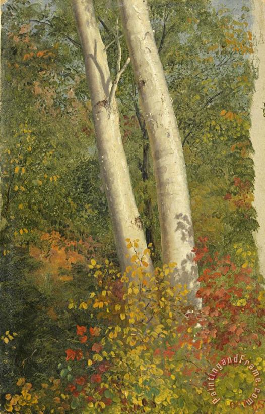 Frederic Edwin Church Birch Trees in Autumn Art Painting