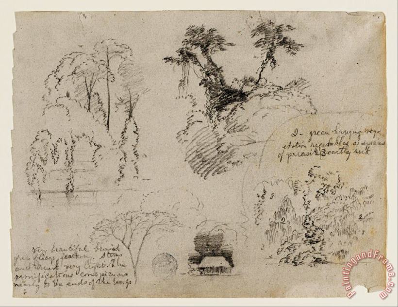 Frederic Edwin Church Sketches From South America, Probably From Colombia. Botanical Sketches. a House. Art Painting