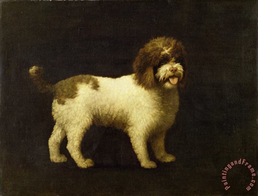 George Stubbs A Water Spaniel Art Painting