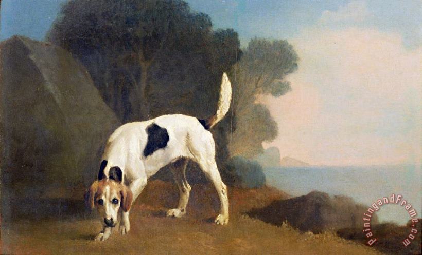 George Stubbs Foxhound on the Scent Art Painting