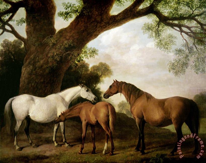 George Stubbs Two Mares and a Foal Art Painting