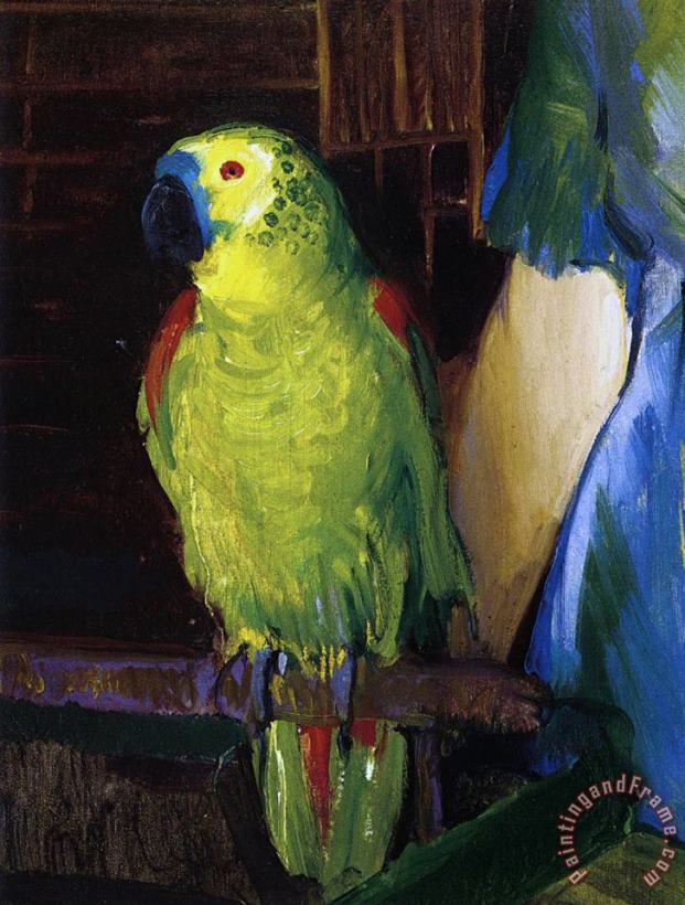 Parrot painting - George Wesley Bellows Parrot Art Print