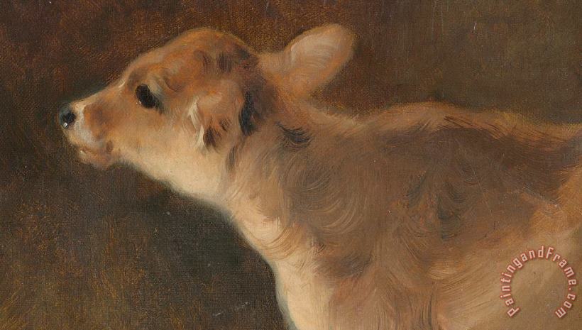 A Calf painting - GW Horlor A Calf Art Print
