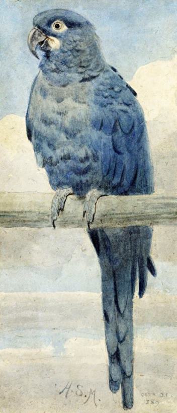Henry Stacey Marks Hyacinthine Macaw Art Painting