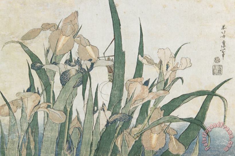 Hokusai Iris Flowers And Grasshopper Art Print
