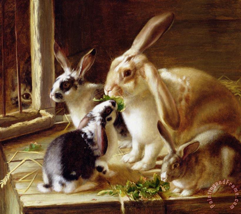 Horatio Henry Couldery Long-eared Rabbits In A Cage Watched By A Cat Art Painting